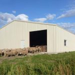 farm storage steel warehouse