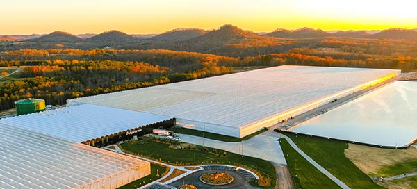 agricultural greenhouses