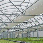 Rock wool or corrugated steel for agricultural greenhouse? agricultural greenhouse