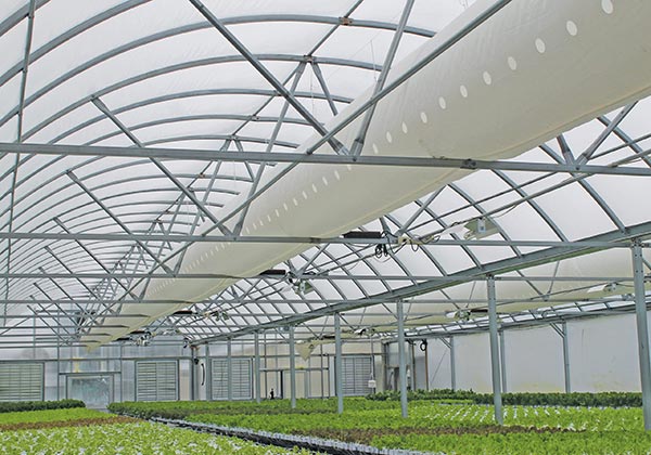agricultural greenhouse