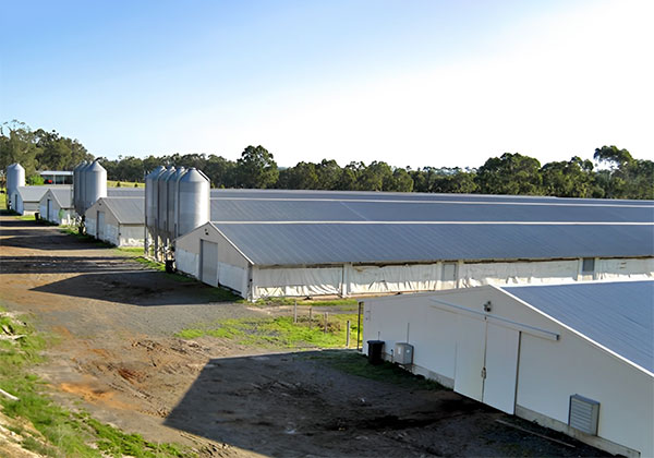 metal structure farm buildings
