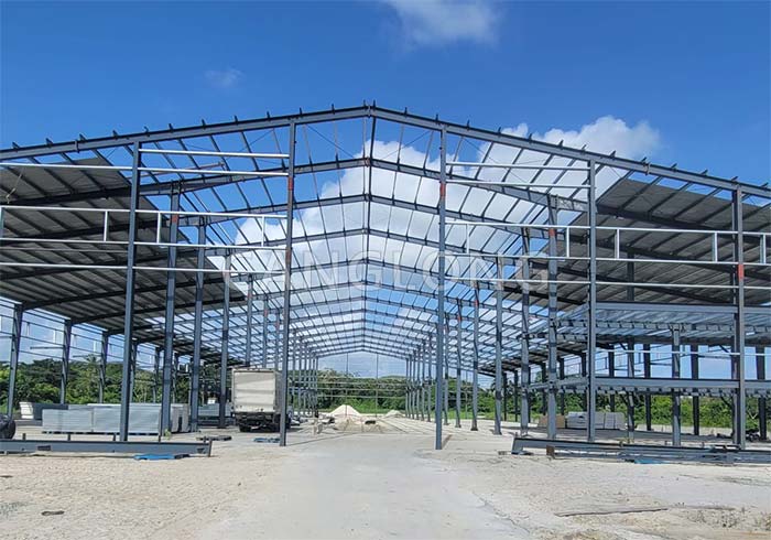 Guyana plant project