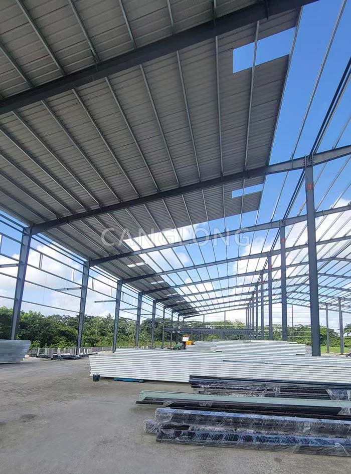 Guyana plant project installation