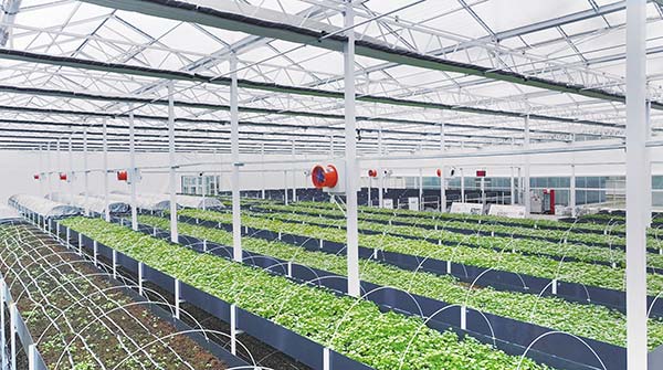 Modern Agriculture & Hydroponics Workshop